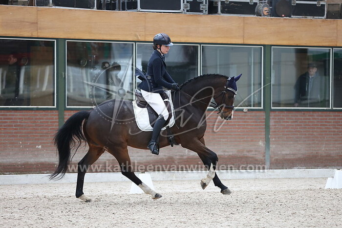 Sarah Hasselman - Gambit