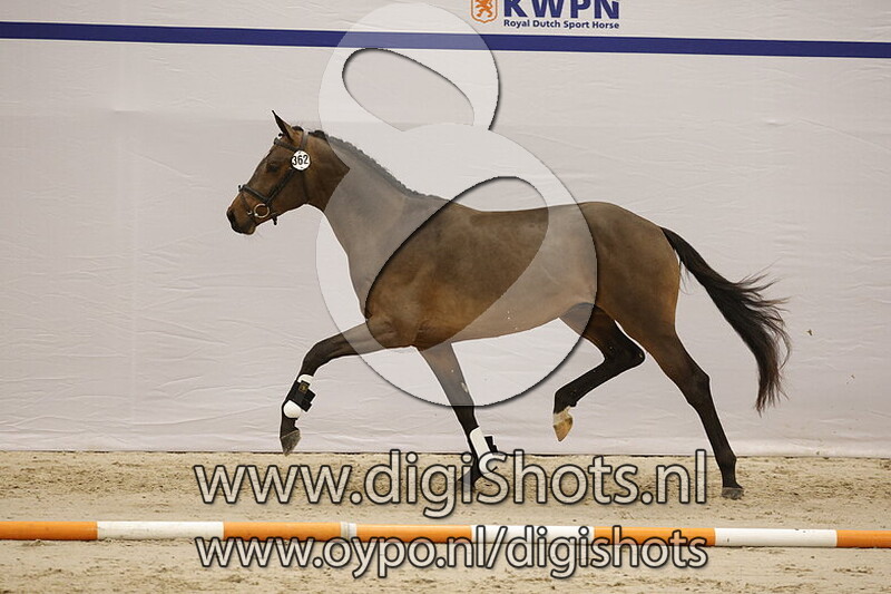 Simply the Best SG v. Fynch Hatton