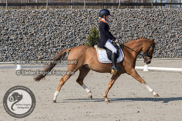 2018-03-24 oefendressuur wedstrijd hulsberg