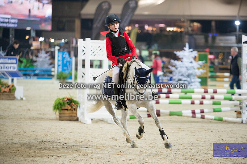 Belgische rijpony klein - Parcours midden