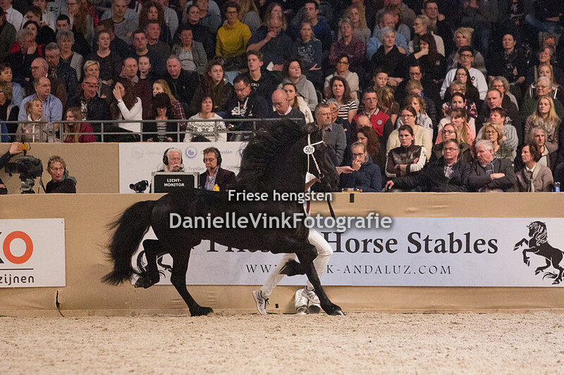 Hengstenkeuring 2018 Tiede 501