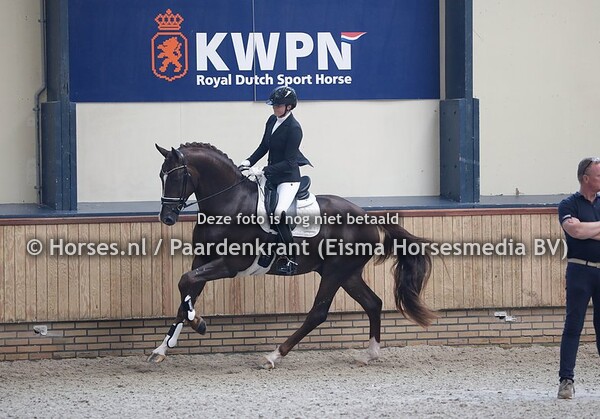 16-09-2020 Zadelpresentatie en Herkansing KWPN-hengsten