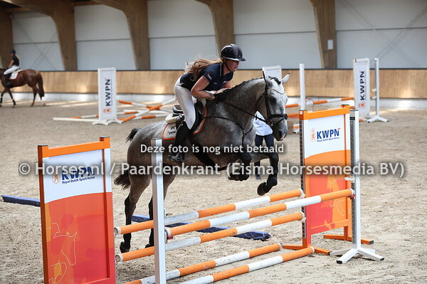 7 Sterre van het Hamrik