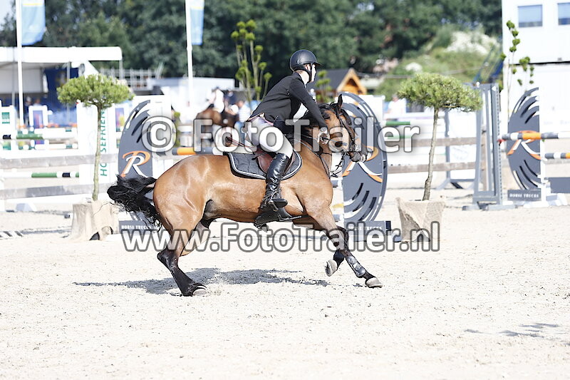 Roderick van den Engh