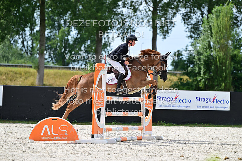 31 Pony's 1.10m (Cat. D-E)