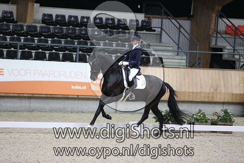 Leonardo da Vinci Js