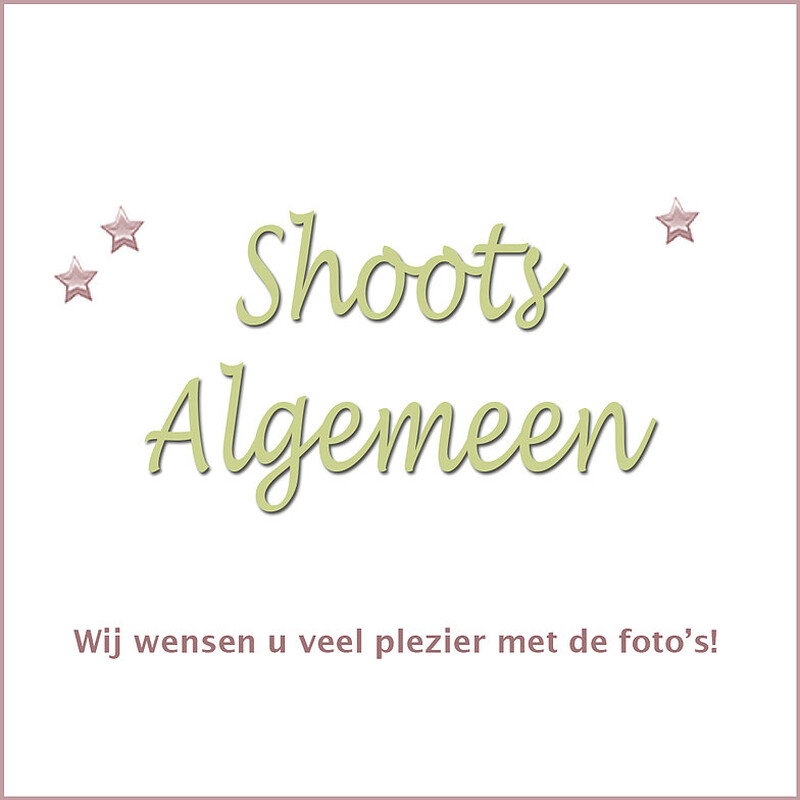 FOTOGRAFIE ALGEMEEN