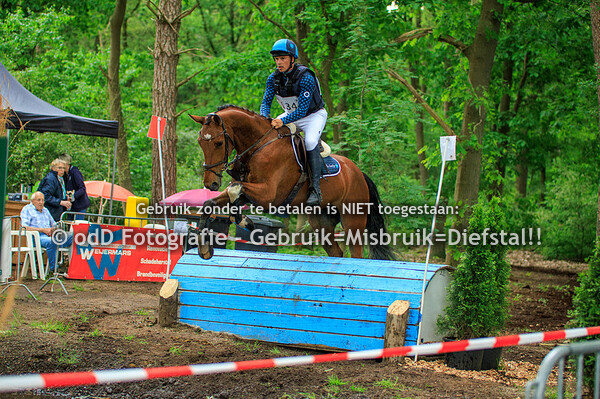 SGW Markelo Paarden L 18-05-24