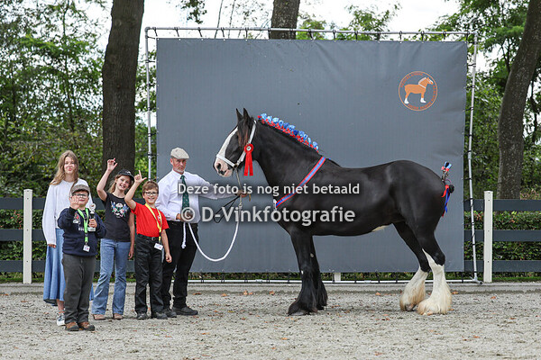 17. Merriekampioenschap