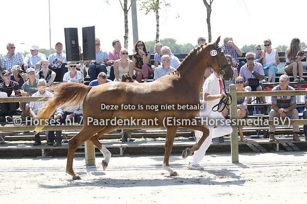 127 Kahlua v Everdale