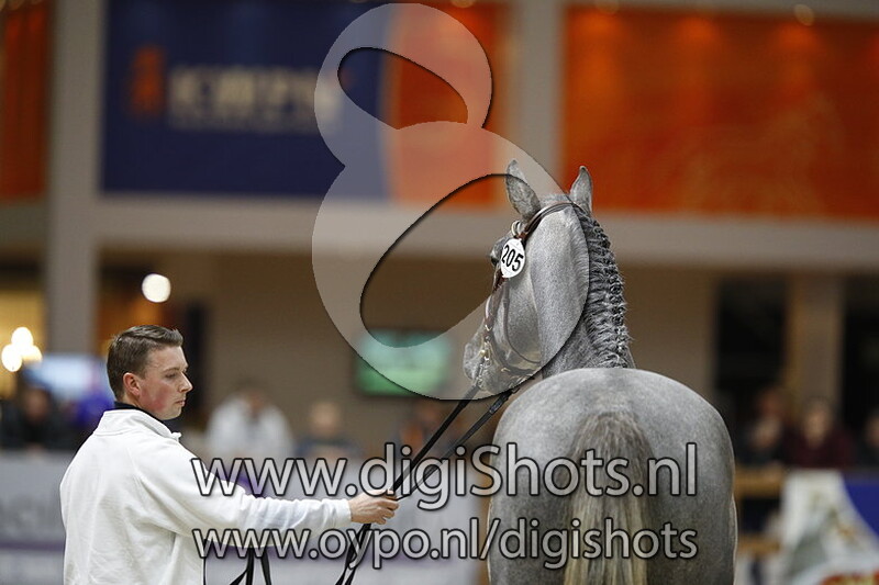 Lieveling Especiale v. Jilbert van t Ruytershof