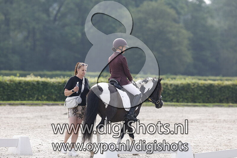 Ring 6 Klasse B cat C