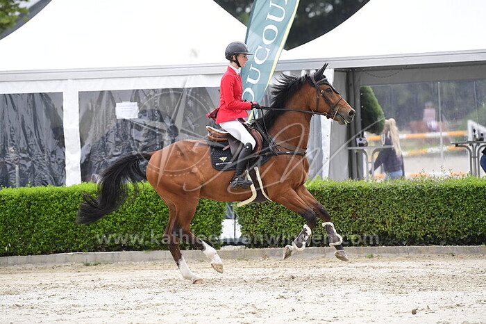 Lucille Billet - Ambush BS