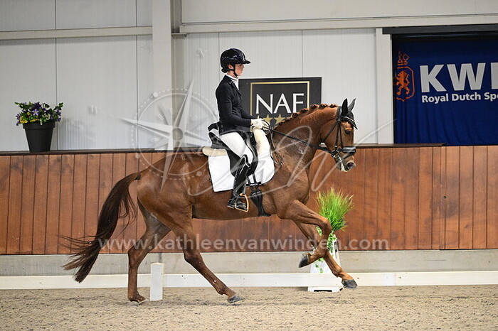 Danielle Houtvast - Benson