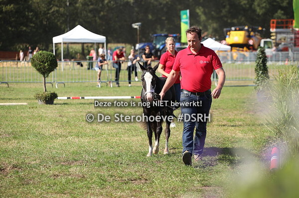 6.Merries grote maat 3j, kleine maat 2j en 1j