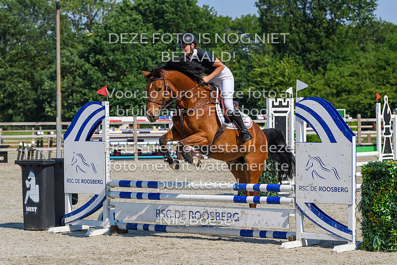 3 Klasse Paarden 80cm