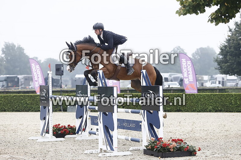 dennis van den brink