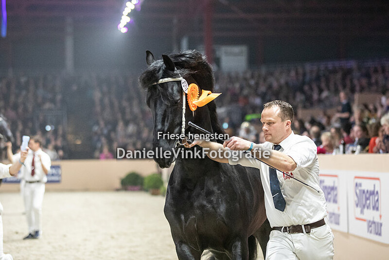 Hengstenkeuring 2023 Jorke 532