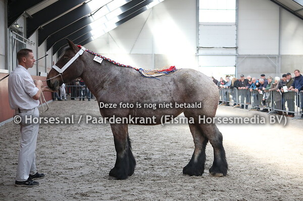 101 Petronella van de Melewis (Senateur van Hoeve de Eik x Petra van de Bouwhoeve)