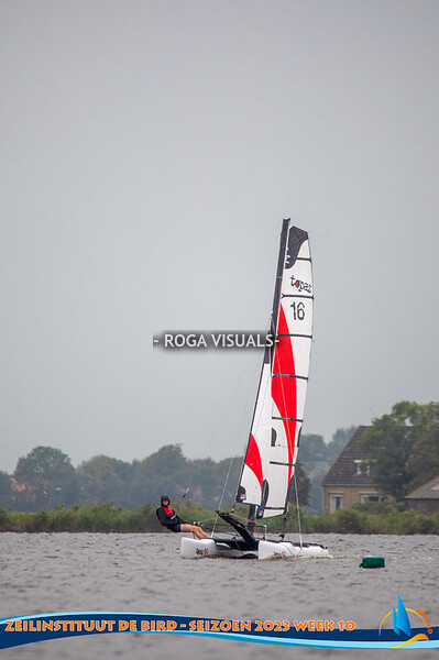 Zeilinstituut De Bird Week 10