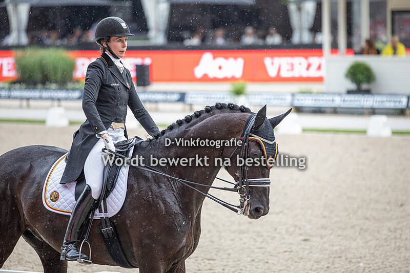 Laurence Vanommeslaghe - Havalon