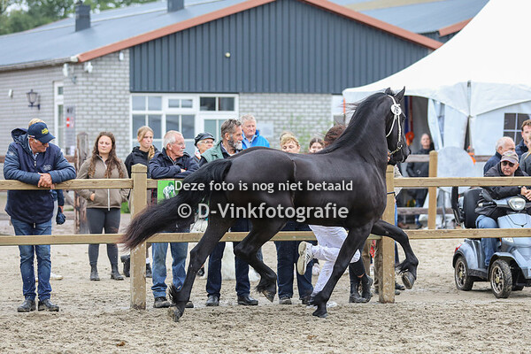 76. Sarah van de Meersche Hoeve