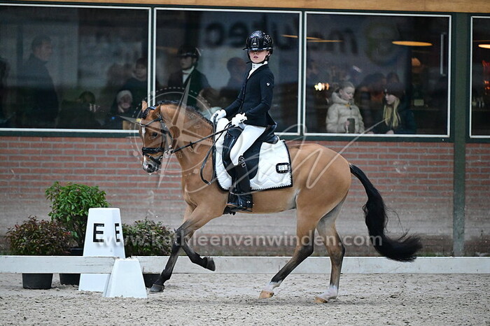 Lizzy Cloo - King Arthur