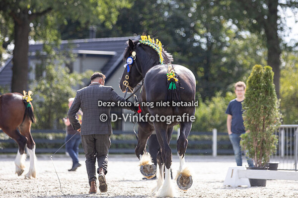 15. Jeugdkampioenschap