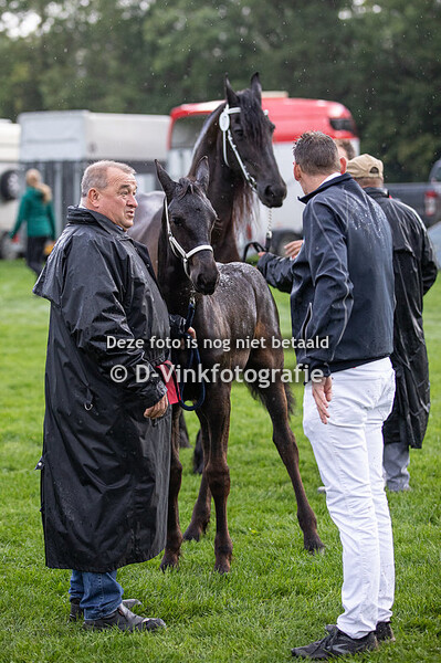 17. Tess van de Weerscheut