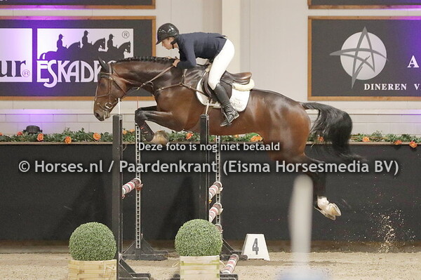 14-11-23 Hengstencompetitie Kronenberg springen