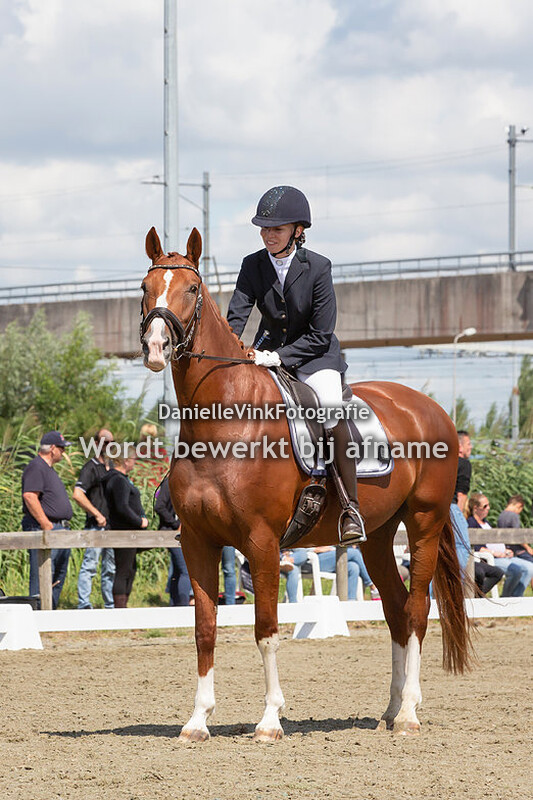Merel Nieuwenhuizen - Flowreina