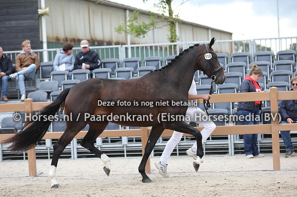 119 Rise to Glory VS