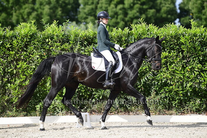 Levi Heusinkveld - Harimann