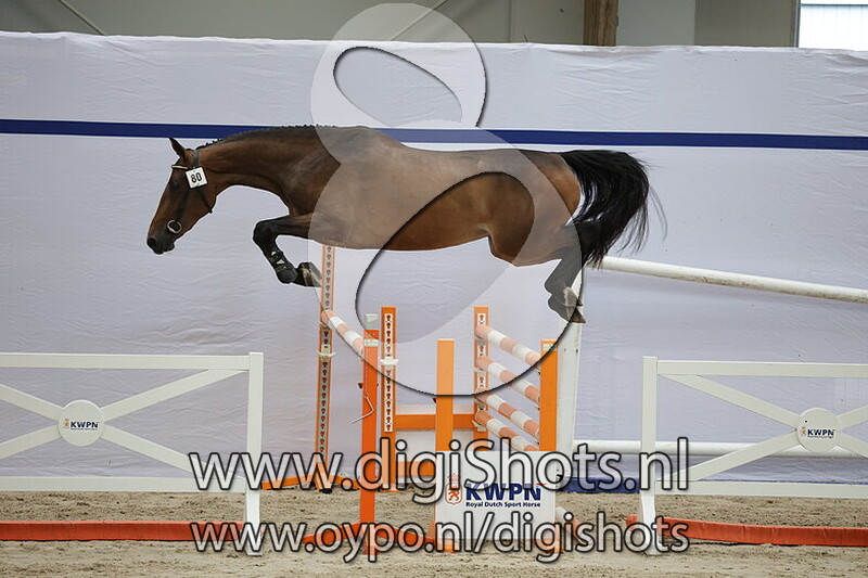 Scotty O Rissa v. Landino VDL