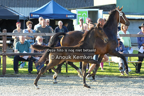 89 - Vantij ( Neon GSM x Idol )