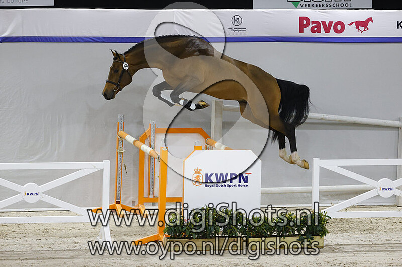 Najib SMH v. Glenfiddich