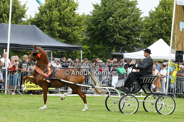 Ereklasse - Kampioenschap