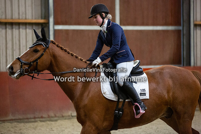 M1 en M2 paard (vrijdag)
