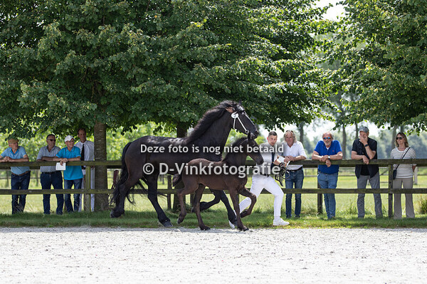 03. Arjan van Raepshille