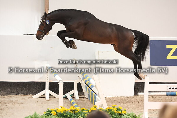 34 United Power VK Z (United Touch S x Indoctro)