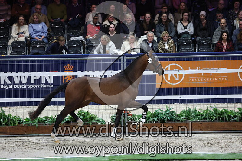 Schepje er Bovenop MP v. Sezuan