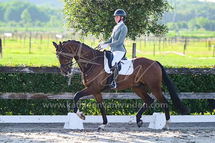 Chantal Verdonk - Orlando