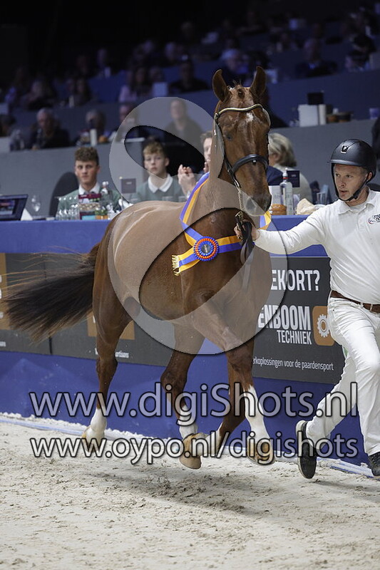 Ruysdael van Ruijnen v. Kardieno - 607