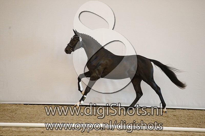 Max Iquino TF v. Total US