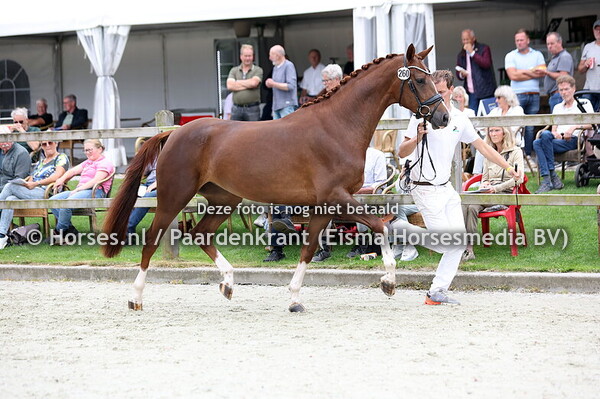 260 Swarovski (Next Pitch x Inbel Taonga v. Negro)