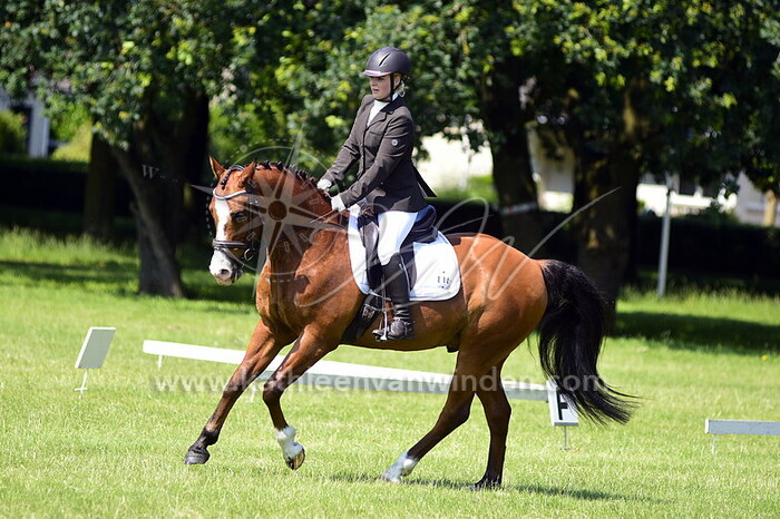 Ring 6 L2 paarden groep 1