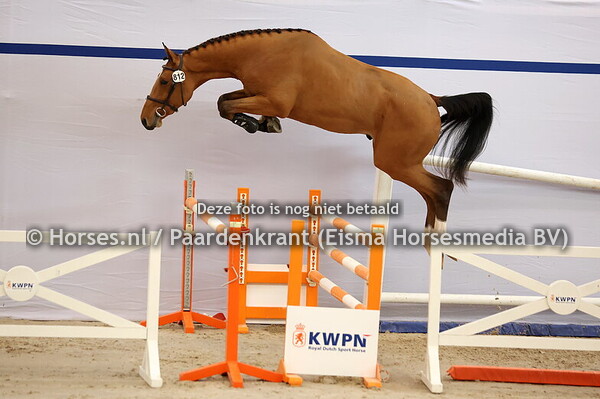 KWPN 1e bez 23 dec Nakeuring Springen 2024