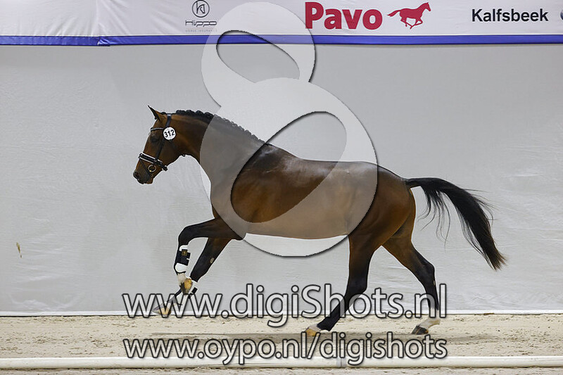 Naturel E v. Blue Hors Zack