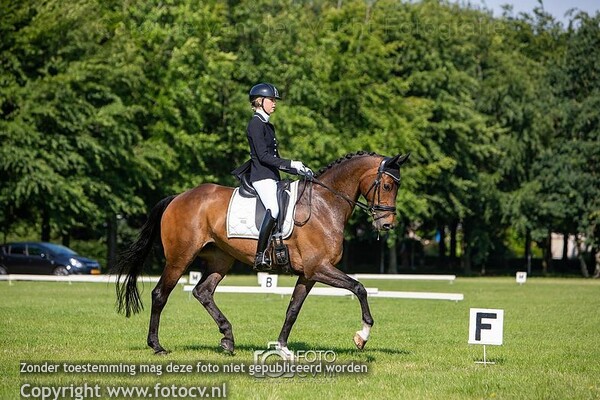 KNHS regio Utrecht - dressuur 22-23juni 