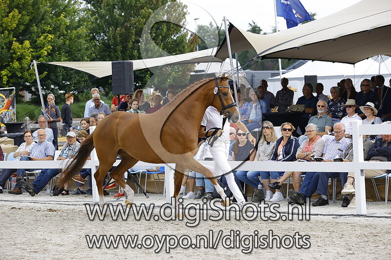 150 Nadya ter Kwincke v. Iconic B